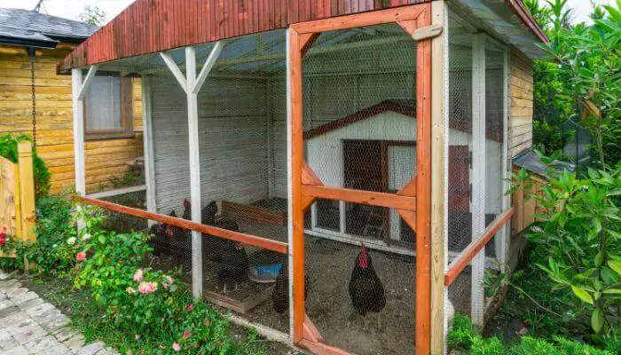 fitting a roof on your coop will make a big difference