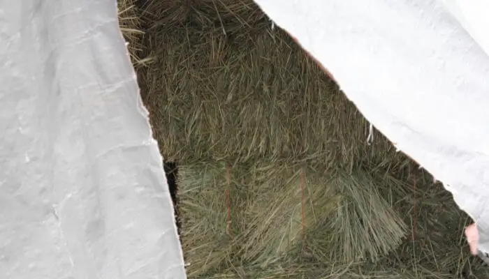 tarp over hay
